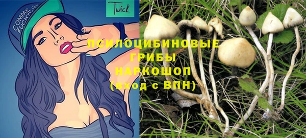 герыч Богородск