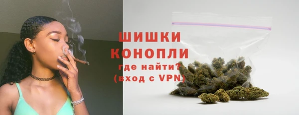 ГАЛЛЮЦИНОГЕННЫЕ ГРИБЫ Верея