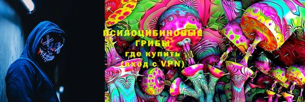 ГАЛЛЮЦИНОГЕННЫЕ ГРИБЫ Верея