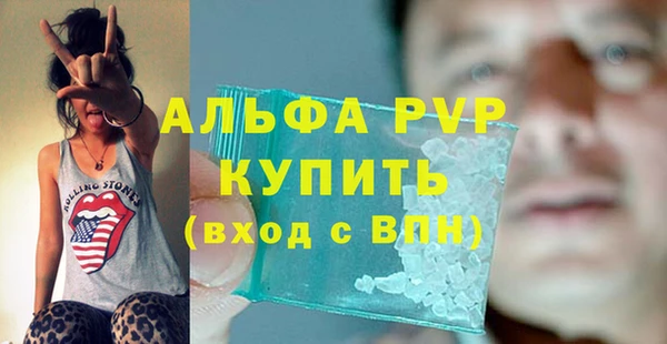 ГАЛЛЮЦИНОГЕННЫЕ ГРИБЫ Верея