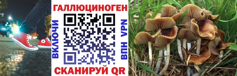 Галлюциногенные грибы Psilocybe  Воткинск 